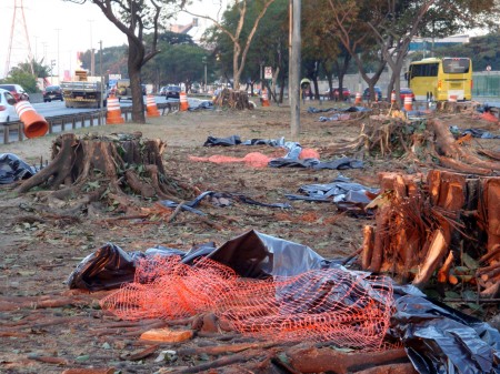 ecocidio_marginal_21-06-09_31