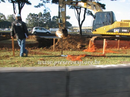 tiete-canteiro9_preservasp