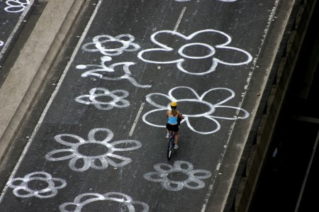 flores_minhocao_morozini01