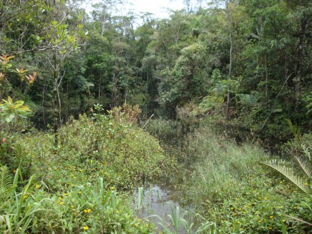 rota_marcia-sp-santos34